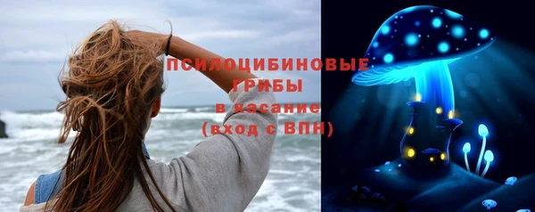 мдма Богородицк