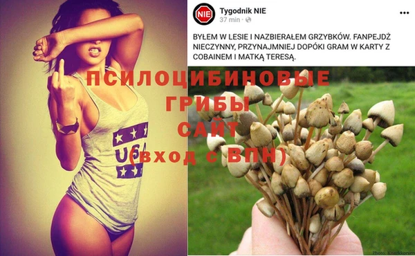 мдма Богородицк