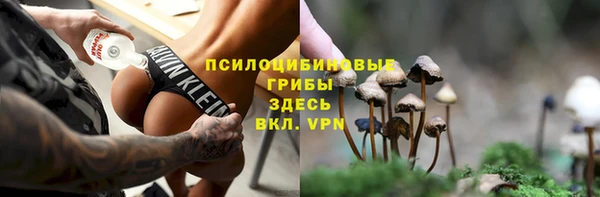 скорость Бородино