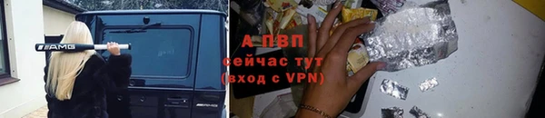apvp Верея