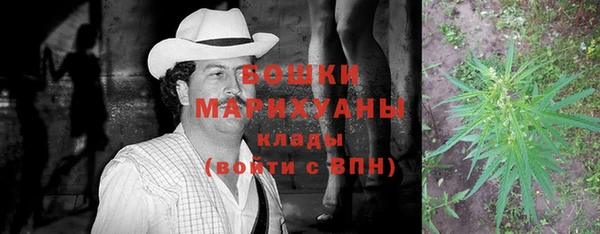 прущие грибы Верхний Тагил