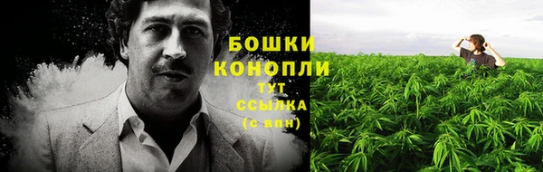 spice Бронницы