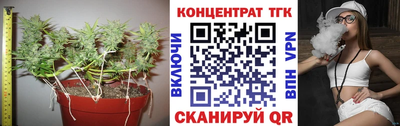 Дистиллят ТГК вейп  блэк спрут маркетплейс  Гаджиево 