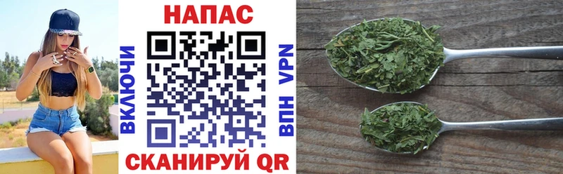 Конопля LSD WEED  площадка Telegram  Гаджиево 